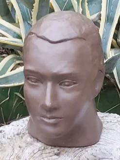 Buste tête homme terre cuite