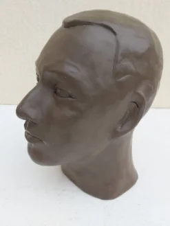 Buste tête homme terre cuite