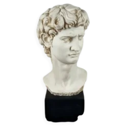 Buste vintage "David" de Michel-Ange