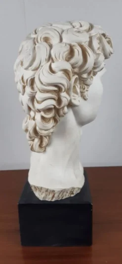 Buste vintage "David" de Michel-Ange