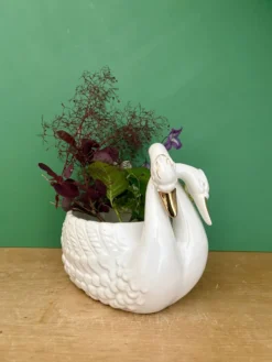 Cache pot cygne vintage en céramique