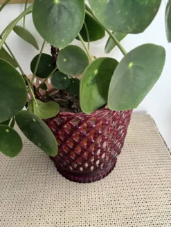 Cache pot en plastique