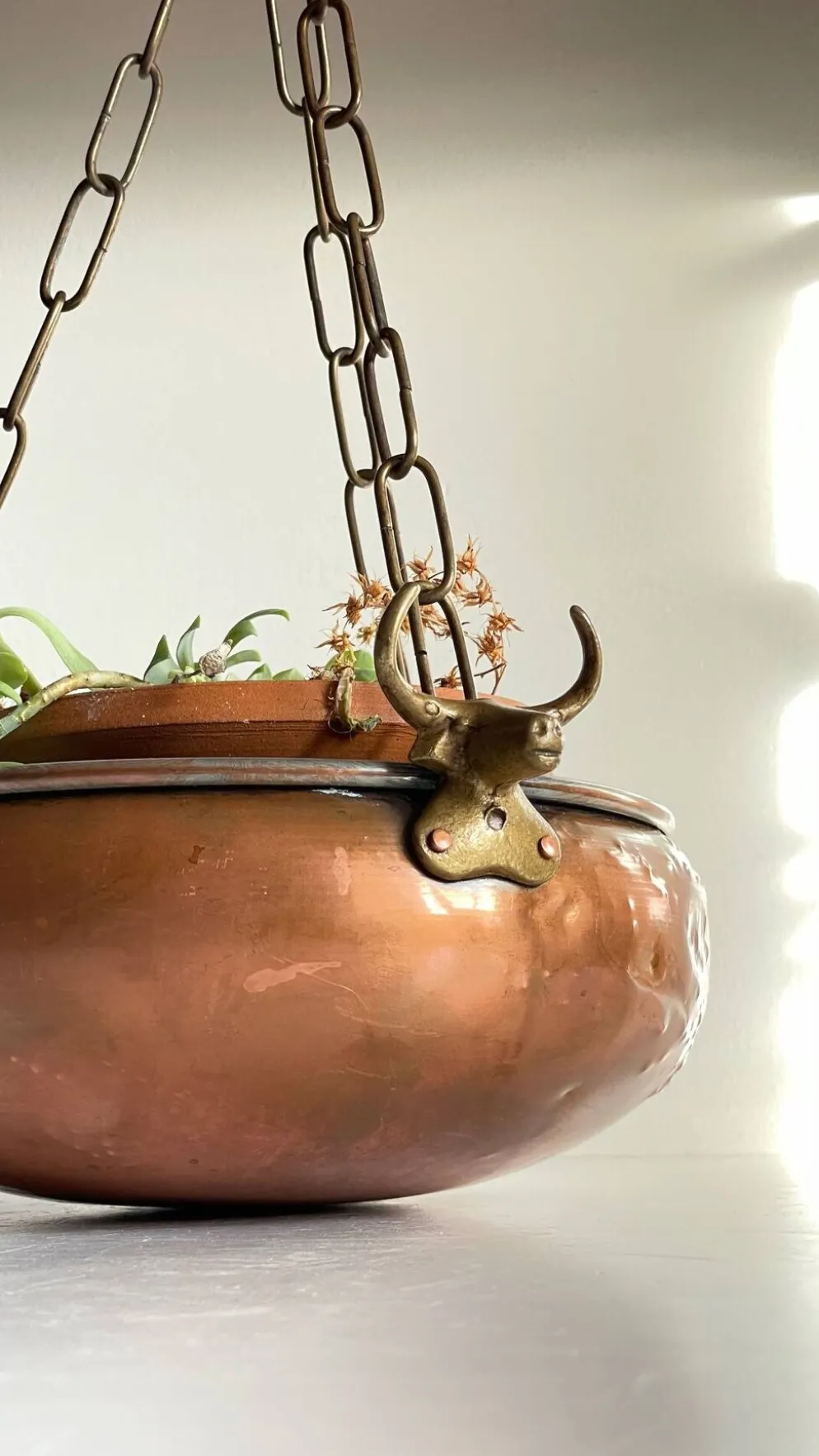 CACHE-POT Suspendu Vintage