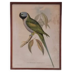 Cadre ancien ornithologique