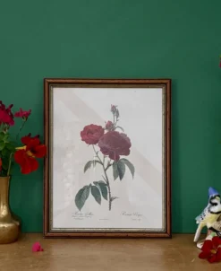 Cadre ancien rose rouge Redouté