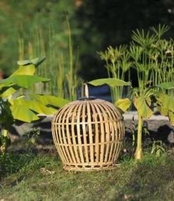 cage a oiseau