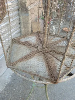 Cage a oiseaux sur table