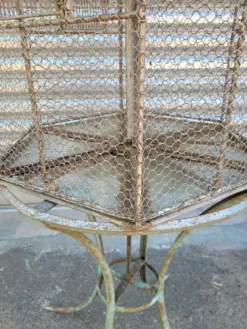 Cage a oiseaux sur table