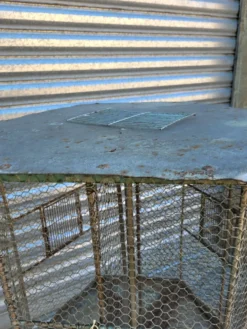 Cage a oiseaux sur table