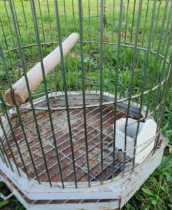 Cage a perroquet ancienne en fer