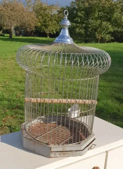 Cage a perroquet ancienne en fer