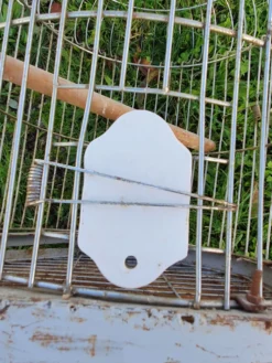 Cage a perroquet ancienne en fer