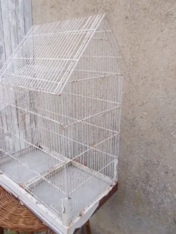 Cage d'oiseaux