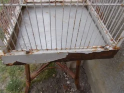 Cage d'oiseaux