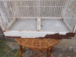 Cage d'oiseaux