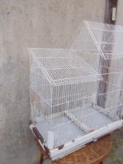 Cage d'oiseaux