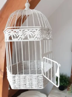 Cage en métal, patinée taupe ,volière
