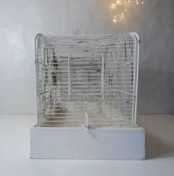 cage à oiseau vintage