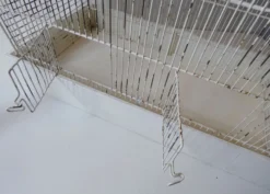 cage à oiseau vintage