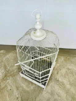 Cage à oiseaux