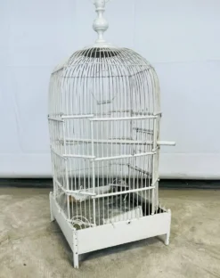 Cage à oiseaux