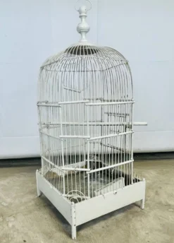 Cage à oiseaux