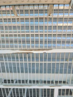 Cage à oiseaux