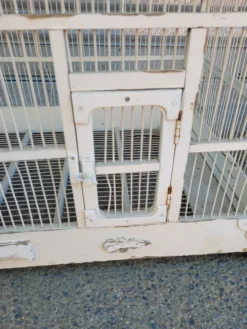 Cage à oiseaux