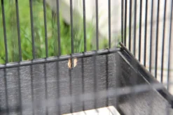 Cage à oiseaux