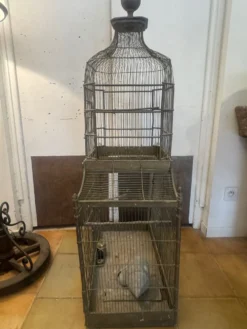 Cage à oiseaux 1900