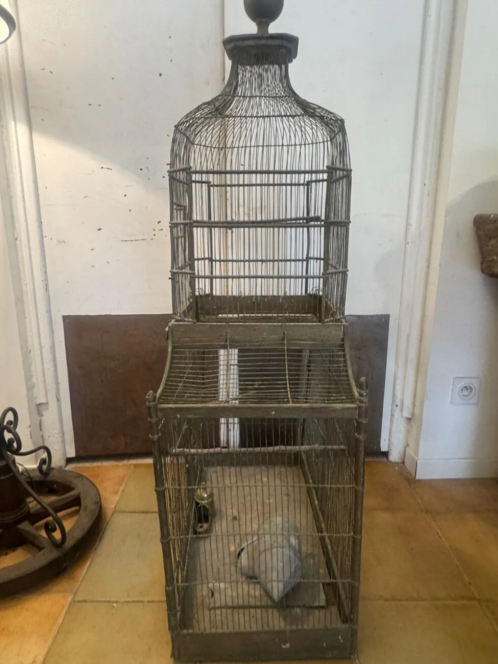 Cage à oiseaux 1900