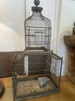 Cage à oiseaux 1900
