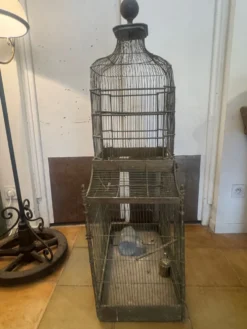 Cage à oiseaux 1900