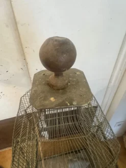Cage à oiseaux 1900