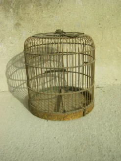 Cage à oiseaux ancienne