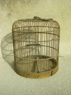 Cage à oiseaux ancienne