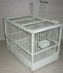 Cage à oiseaux blanche ancienne