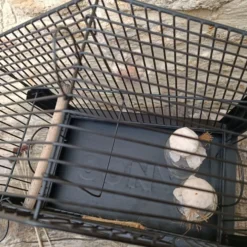 Cage à oiseaux des années 1950-1960 anco