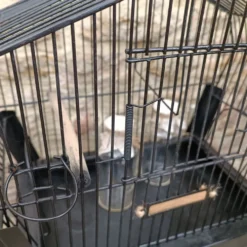 Cage à oiseaux des années 1950-1960 anco
