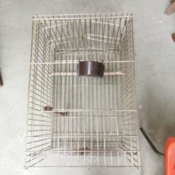 Cage à oiseaux dorée