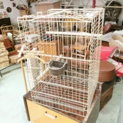 Cage à oiseaux dorée