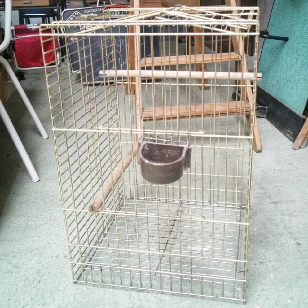 Cage à oiseaux dorée