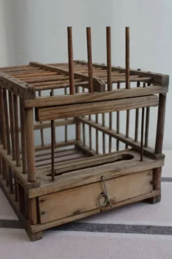 Cage à oiseaux en bois