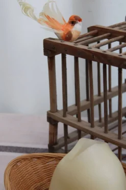 Cage à oiseaux en bois