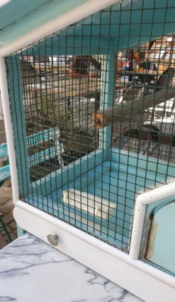 Cage à oiseaux en bois