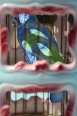 Cage à oiseaux en céramique italienne ancienne