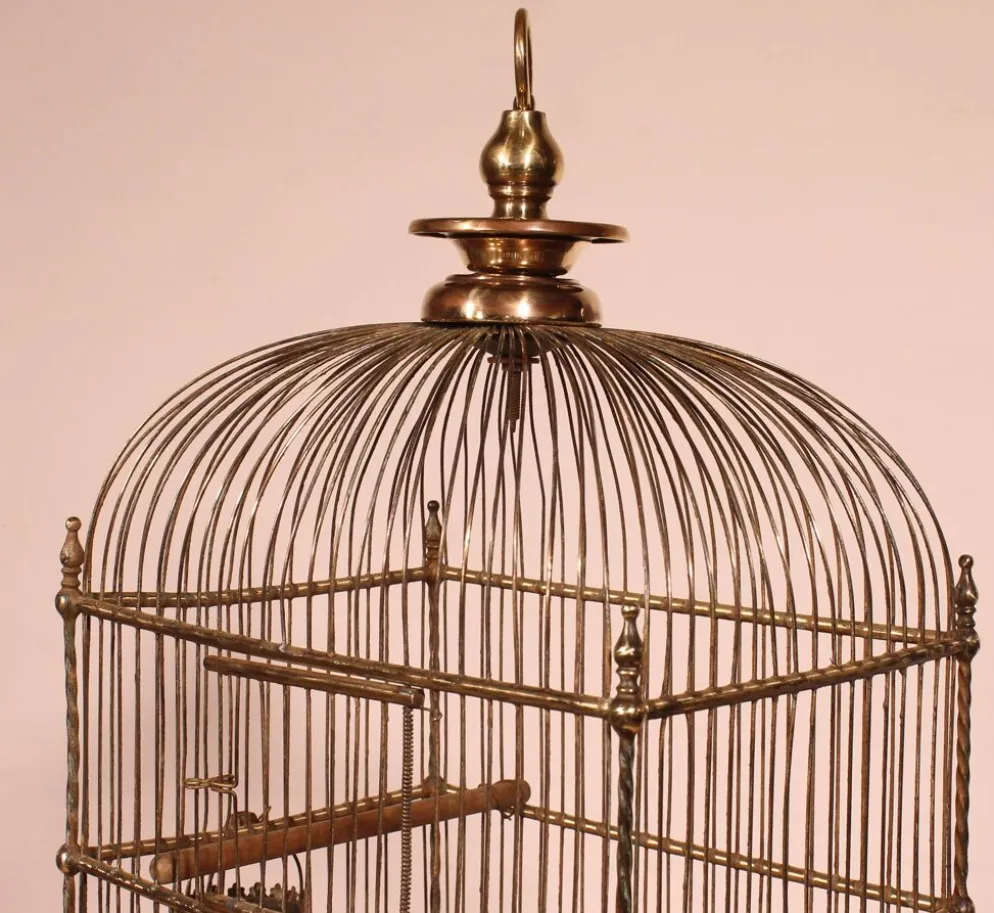 Cage à Oiseaux En Laiton - 19° Siècle