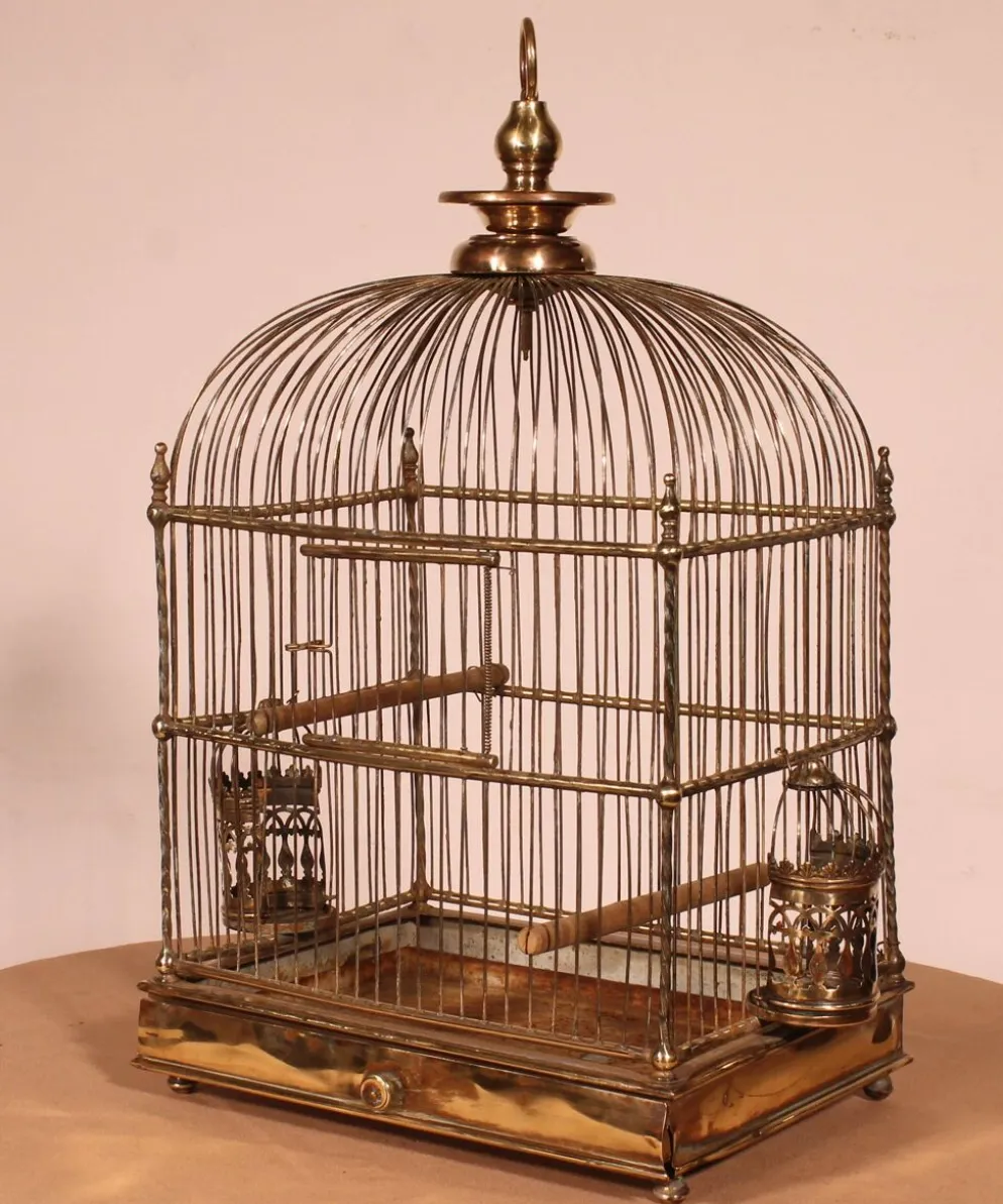 Cage à Oiseaux En Laiton - 19° Siècle