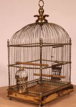 Cage à Oiseaux En Laiton - 19° Siècle