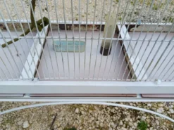 Cage à Oiseaux Fer 1900